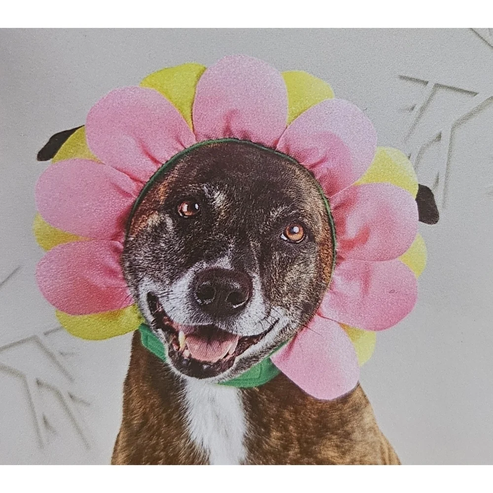 NEW Hyde and EEK Pet Flower Headband